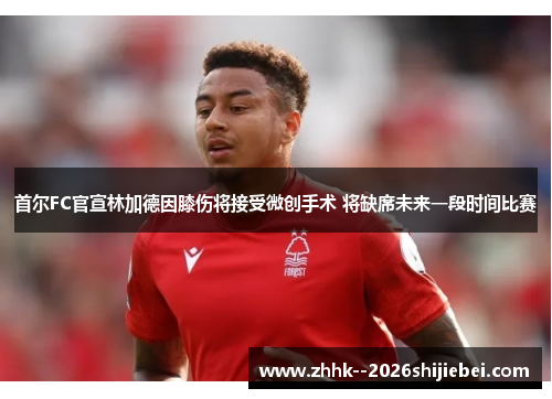 首尔FC官宣林加德因膝伤将接受微创手术 将缺席未来一段时间比赛